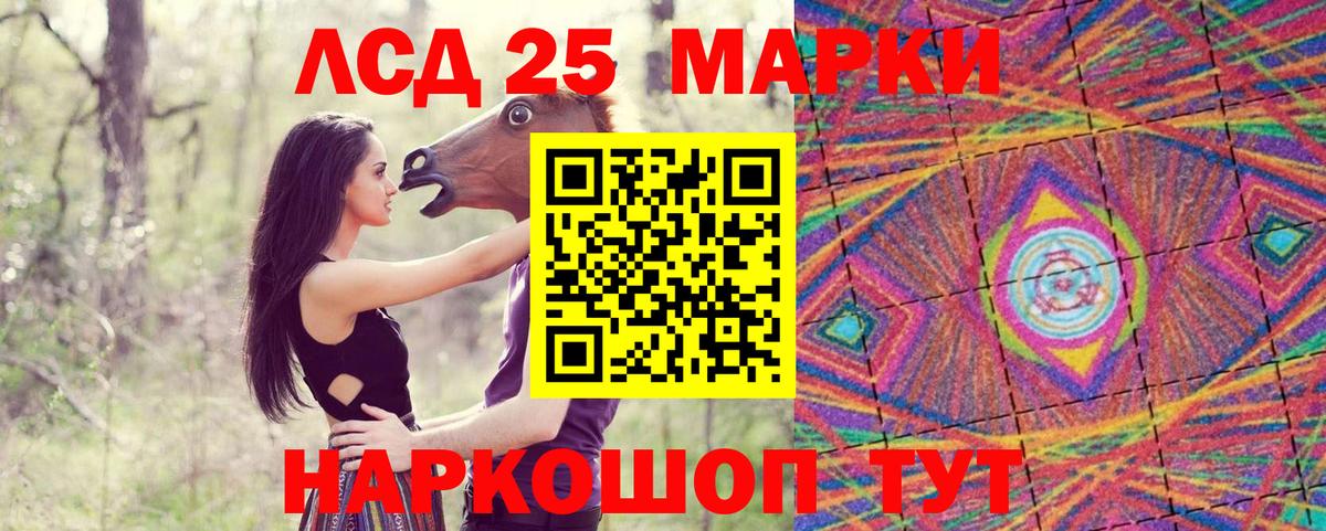 Наркотические марки  Марки N-bome 1,5мг  Дятьково  Вход с VPN  Марки N-bome 1,5мг 