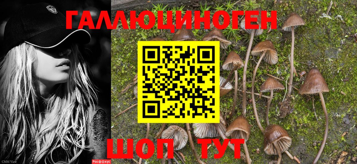 ГАШИШ  Лсд 25  Каннабис  Канабис  COCAIN  Дятьково  Меф кристаллы  Гашиш  Вход с VPN 