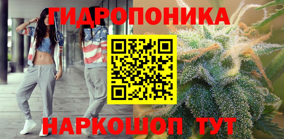 Конопля гибрид  Каннабис семена  Дятьково  Вход с VPN  Бошки Шишки Amnesia 
